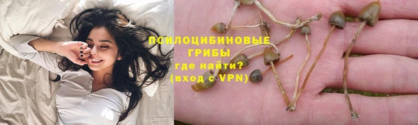 apvp Заводоуковск