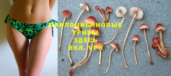 соль ск Заволжье