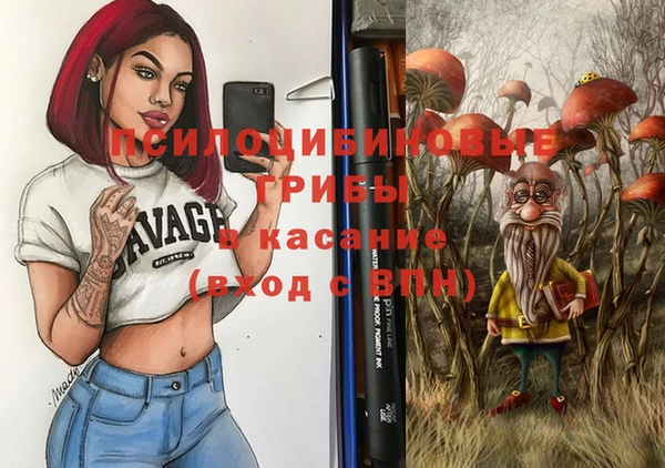 apvp Заводоуковск