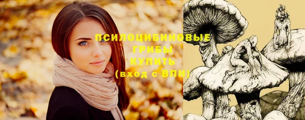 синтетический гашиш Заволжск