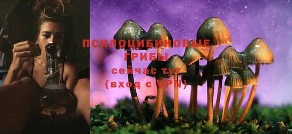 соль ск Заволжье