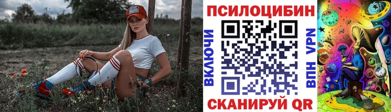 Псилоцибиновые грибы GOLDEN TEACHER  Избербаш 