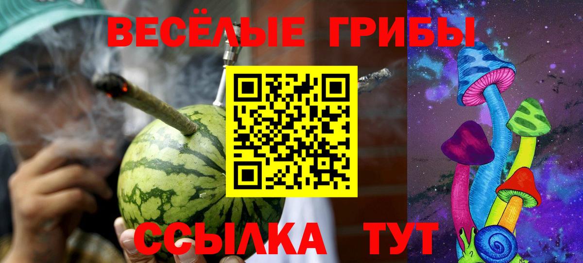 Избербаш  Псилоцибиновые грибы Cubensis  Вход с VPN 