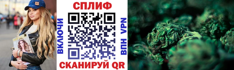 Марихуана SATIVA & INDICA  дарнет шоп  Избербаш 